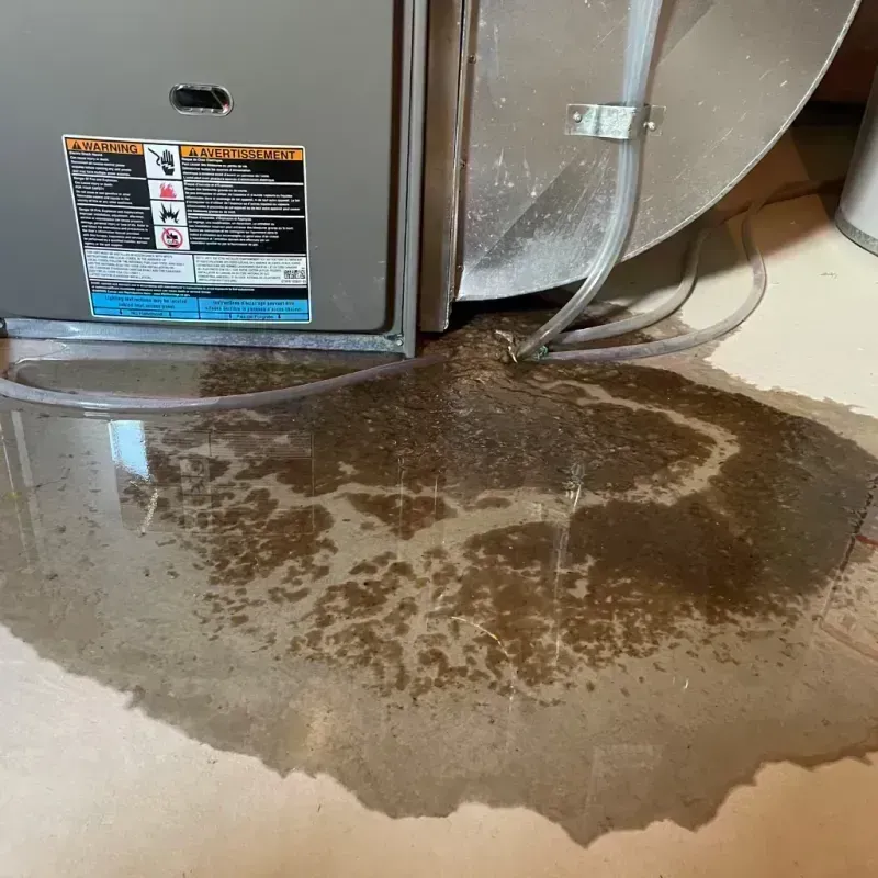 Appliance Leak Cleanup in Marlborough, MO